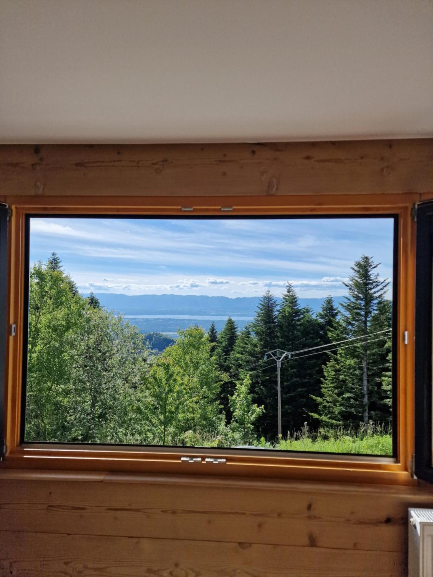 Les Montagnes De Appartement *